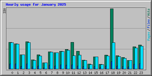 Hourly usage for January 2025