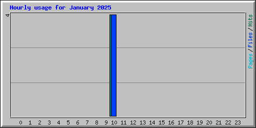 Hourly usage for January 2025