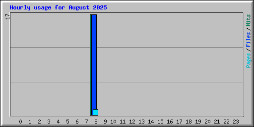 Hourly usage for August 2025